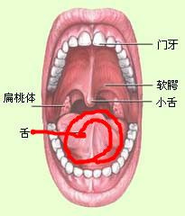 中医治疗舌癌晚期效果怎么样-搜狐