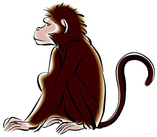 民间俗称猴年,最近几个猴年对应的公历年份是1992,2004,2016,2028