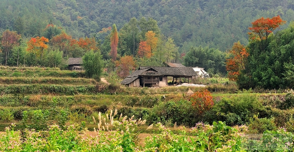 张家界地接社