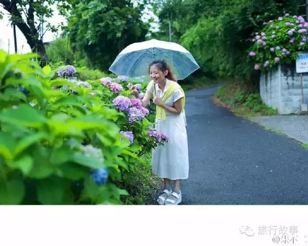 雨后的乡间的小路,走走停停的旅行!