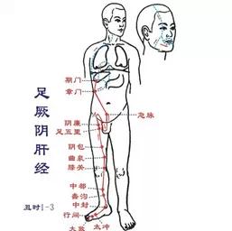 女人要想有美丽的容颜,必须养好你的肝!