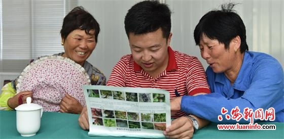 丝毫没有种植经验的杨广越在经历理想很丰满,现实很骨干的打击后.