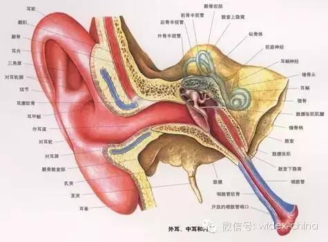 郴州人民西路助听器:助听器可以把耳聋治好吗