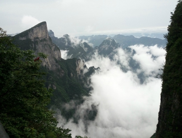 张家界导游推荐 天下游客必看