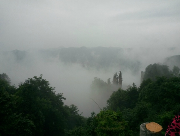 张家界导游推荐 天下游客必看