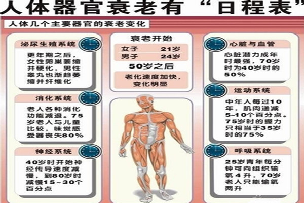 你的生理年龄是多少