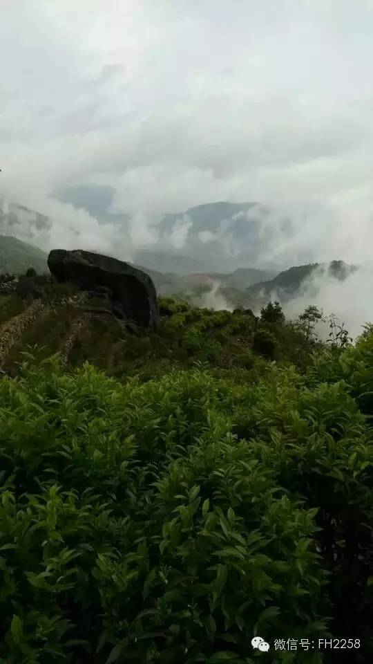 粤东最高峰广东潮州凤凰山凤凰天池