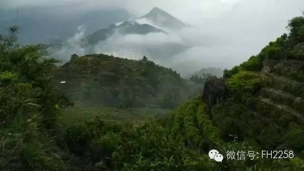 粤东最高峰广东潮州凤凰山凤凰天池