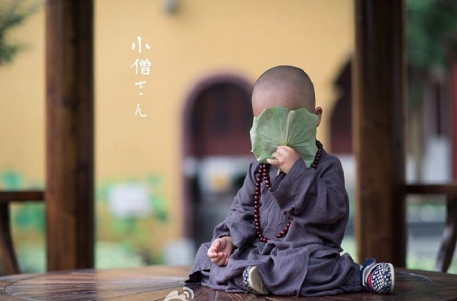 第一组:桐乡福严寺"小和尚"二蛋    第二组:福州西禅寺"小和尚"