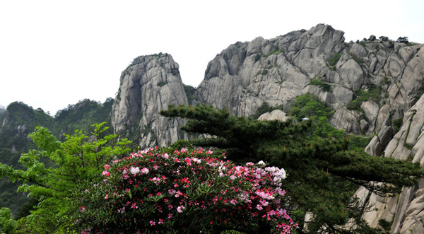 合肥到黄山旅游团_黄山三日游-搜狐