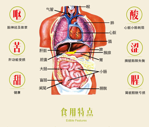 辣木籽有没有副作用