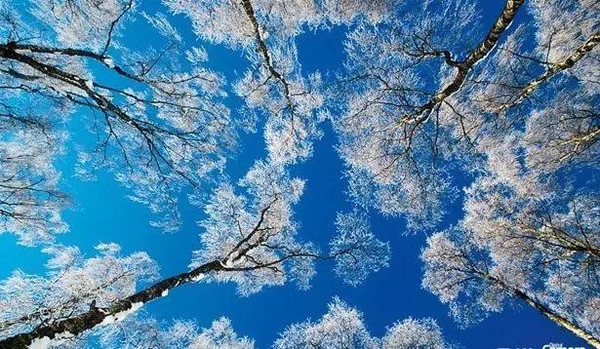 10ֵóԵ