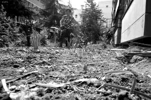 股票论坛
热线:0917-3201320