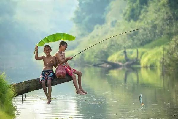 等我们股票解套,就回乡下,种菜养花,看夕阳西下