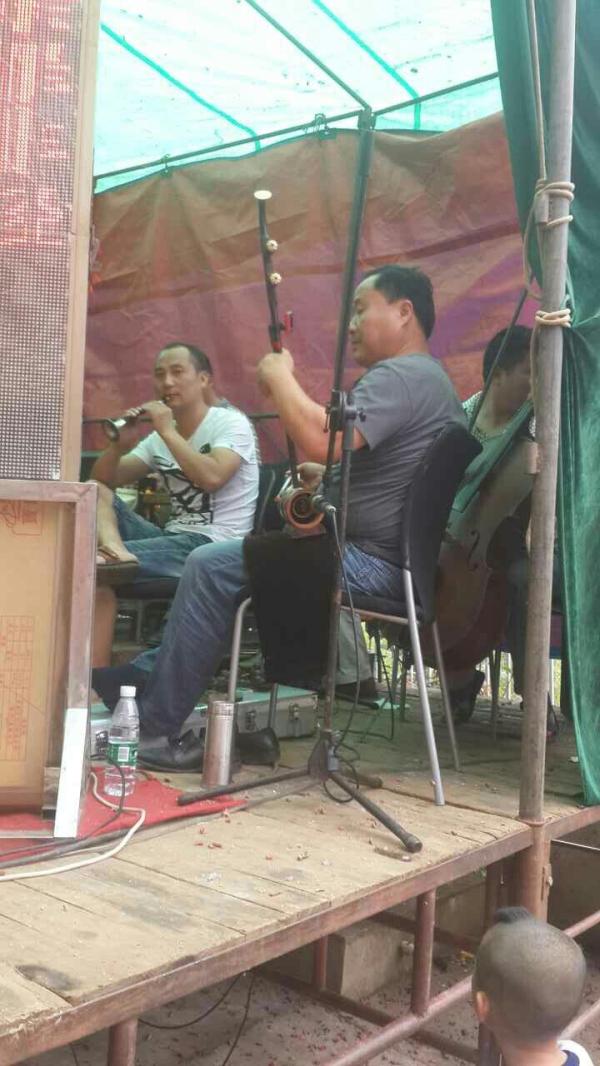 让花鼓戏走市场化,走一个死一个