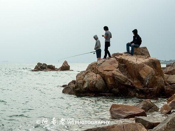 龙洲海鲜_重庆挪威三文鱼海鲜美食节周末开幕