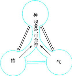 阳病治阴利用什么原理_阴疽是什么病(2)