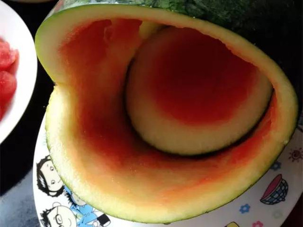 【神分享】脑洞大开!手把手教你自制鲨鱼西瓜!