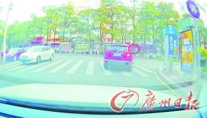 东莞派司汽车车主在厦门市行驶时从车窗抛物。 (收集截图)