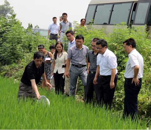 黄石市副市长叶战平,黄石市农业局局长陆咏梅,大冶市副市长张保平等