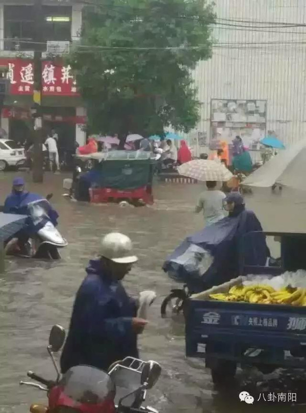 海水倒灌南阳:今天被雨淋的你不是一个人在