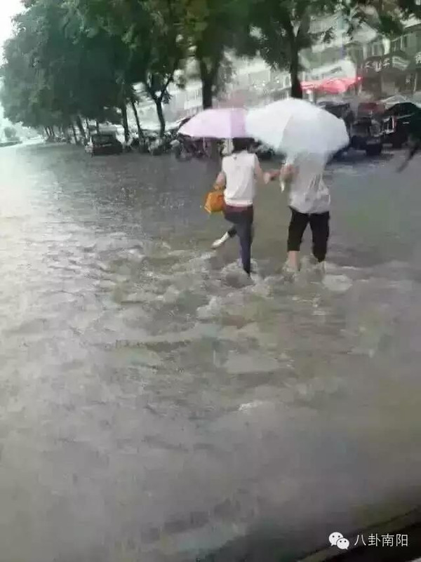 海水倒灌南阳:今天被雨淋的你不是一个人在