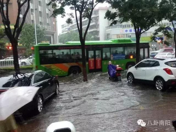 海水倒灌南阳:今天被雨淋的你不是一个人在