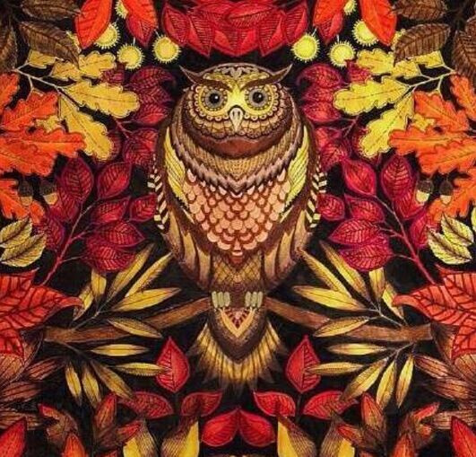 secret garden coloring pages owl reading - photo #3