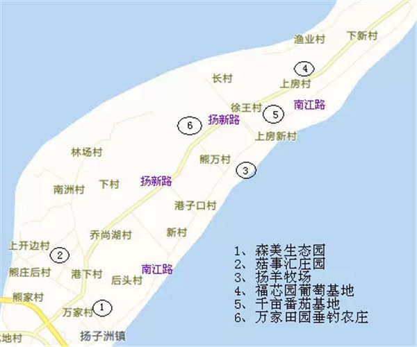 人口按洲_人口普查