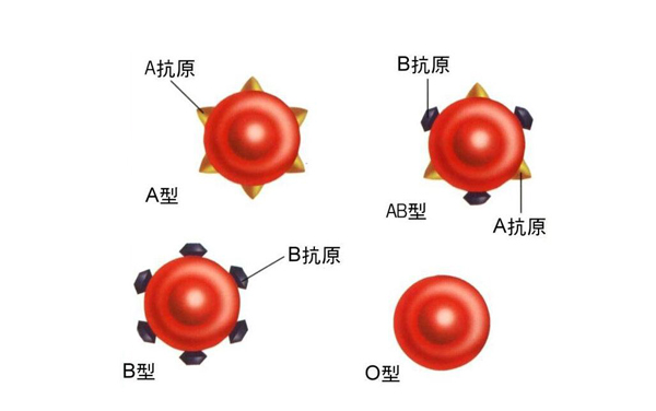 厦门血站呛声《小时代4》 来说说关于血型的那