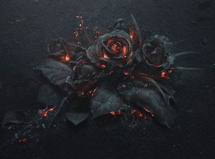 一位大神用燃烧的煤炭做成黑玫瑰!