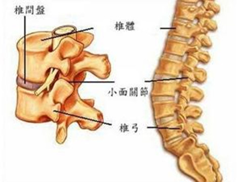 腰椎间盘突出症如何正确用腰