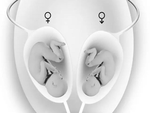 民间传播着很多猜胎儿性别的办法,例如:生男生女清宫图,生男生女预测