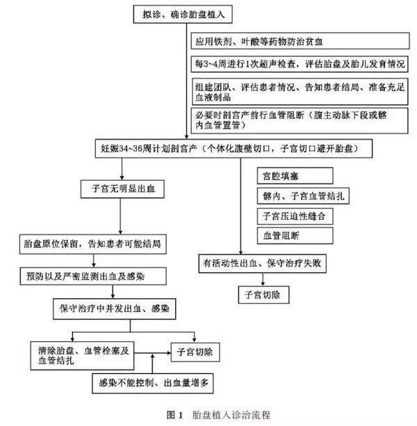 中华医学会《胎盘植入诊治指南 2015 》