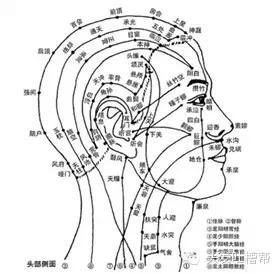 因为您一梳头,胆经上的20多个穴位就全部"一网打尽"了.