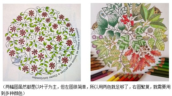 秘密花园涂色攻略与技巧