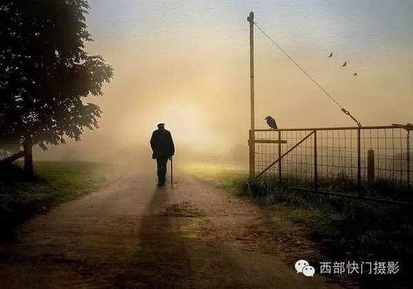 12张让人心醉神迷的清晨光影大片
