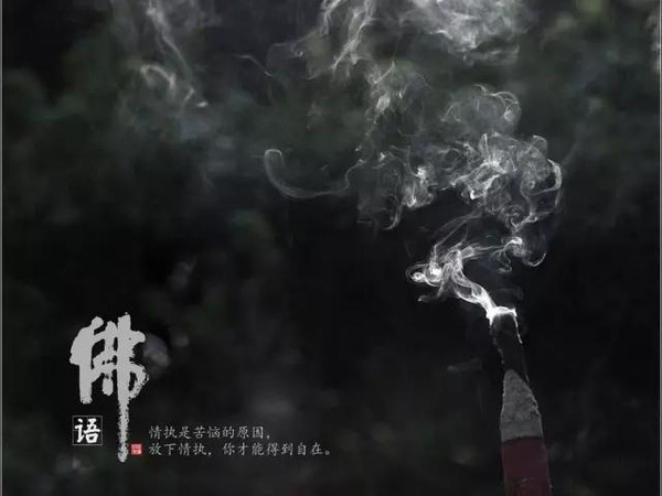 十句智慧佛语,带你感悟人生!