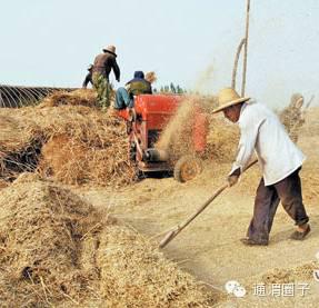 这种农村收麦子的场景已经很少见到了