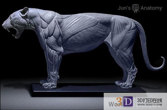 艺术家制作3D打印解剖参考模型