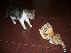 做事留一手: 猫和老虎的故事