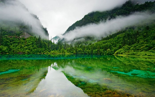 九寨沟张家界旅游团,九寨沟到张家界线路