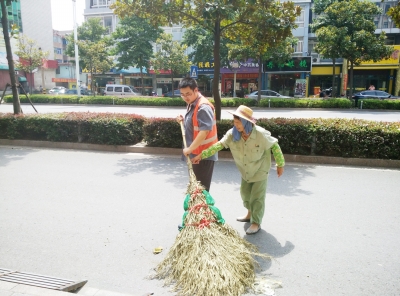 正午扫大街 树阴下也汗如雨下(图),为什么每天吃完饭就汗如雨下,树荫