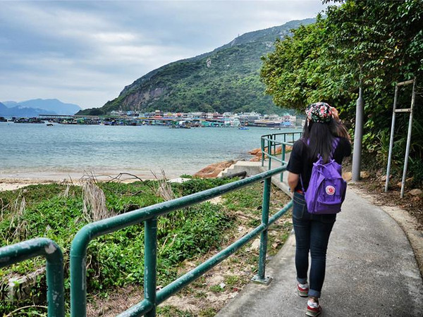 去南丫岛吃海鲜贵嘛_穿越香港南丫岛：探访周润发儿时放牛的地方