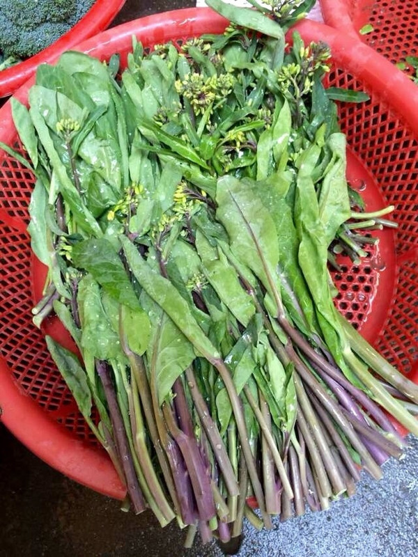好菜芥蓝薳