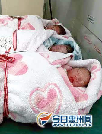 淡水36岁产妇生下罕见单卵三胞胎 为3名早产男