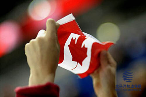 加拿大移民部新政8月1日实施 需要申请电子签