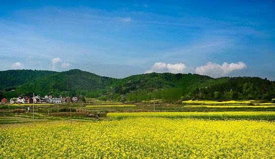 安徽无为:乘着高铁来看景