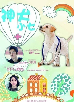 Chinese TV - 神犬小七（卫视版）