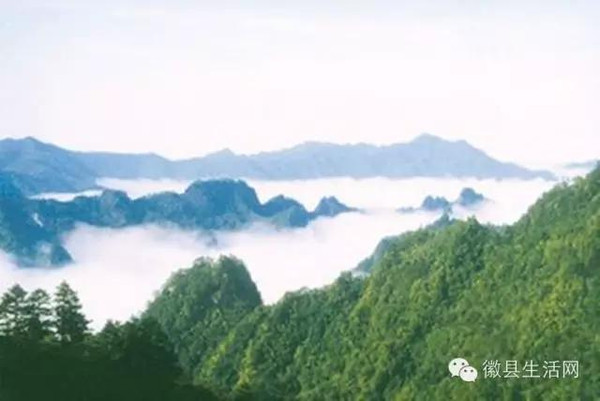 徽县有多少人口_徽县一中图片(2)